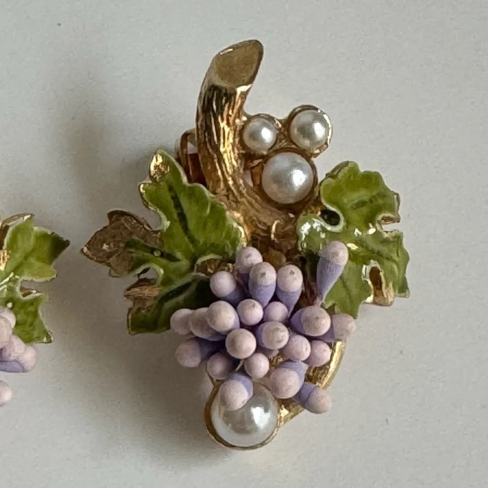 Florenza vintage grape